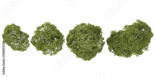 3d illustration of Plane trees on transparent background from top view