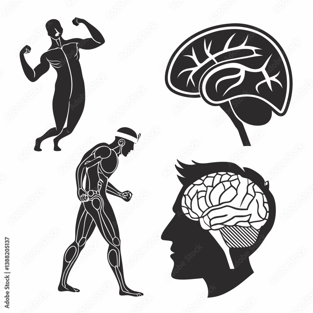 Naklejka premium human brain vector illustration