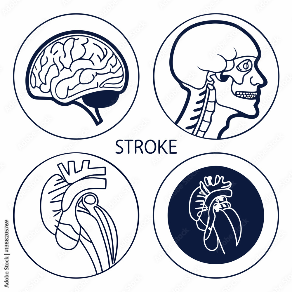 Fototapeta premium vector set of human organs