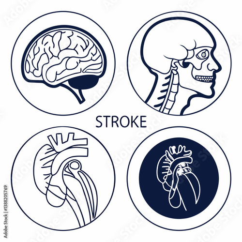 vector set of human organs