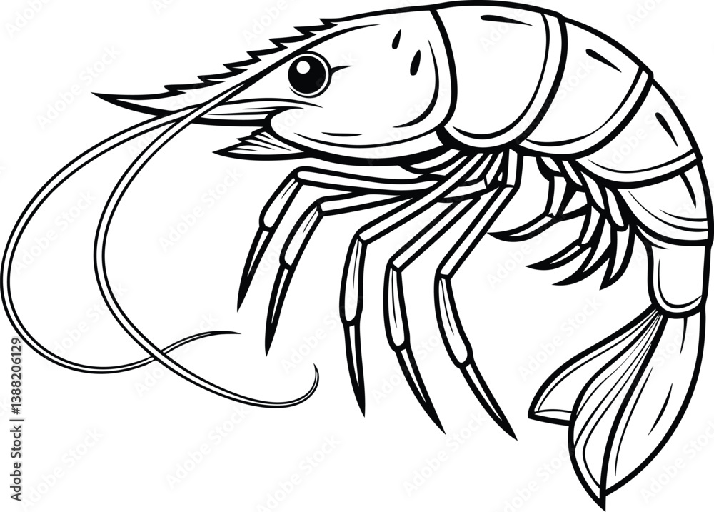 Realistic Shrimp Fish Vector Art Realistic Shrimp Fish Vector Art