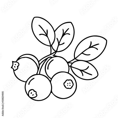 bilberry icon, bilberry line art - simple line art of bilberry, perfect for bilberry logos and icons