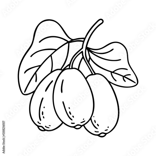 miracle fruit icon, miracle fruit line art - simple line art of miracle fruit, perfect for miracle fruit logos and icons