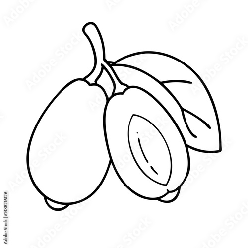miracle fruit icon, miracle fruit line art - simple line art of miracle fruit, perfect for miracle fruit logos and icons