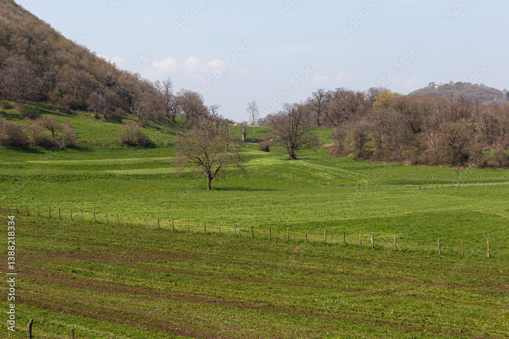 Rural fence and green field in the Euganean Hills. Spring agricultural scene with hills in the background. Italy.