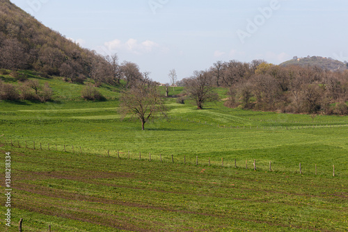 Obraz na płótnie Rural fence and green field in the Euganean Hills. Spring agricultural scene with hills in the background. Italy. w salonie