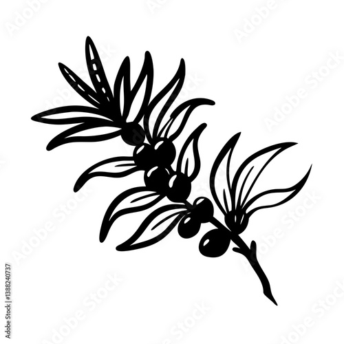 sea buckthorn icon, sea buckthorn line art - simple line art of sea buckthorn, perfect for sea buckthorn logos and icons