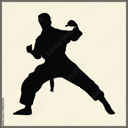 Silhouette of Fighter, Karate Kick