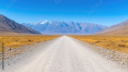 A long, light-grey gravel road stretches towards snow-capped mountains under a clear blue sky. Dry, yellow-brown grass flanks the road. The high-resolution image features vibrant colors and a serene