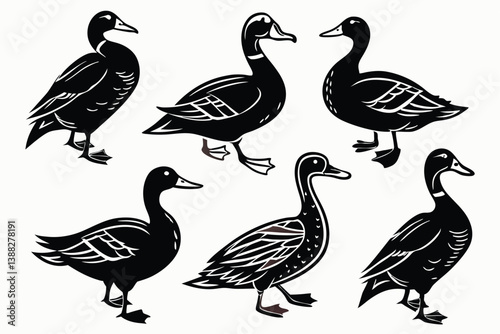 Duck. Vintage woodcut style vector illustration