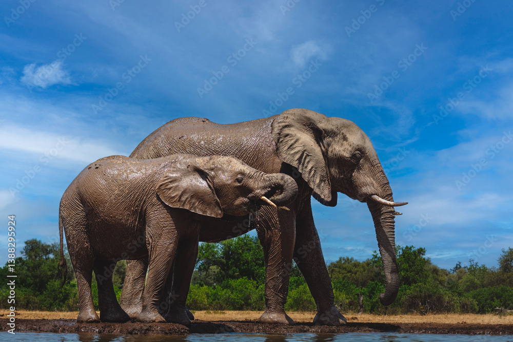 Obraz premium The Best Company