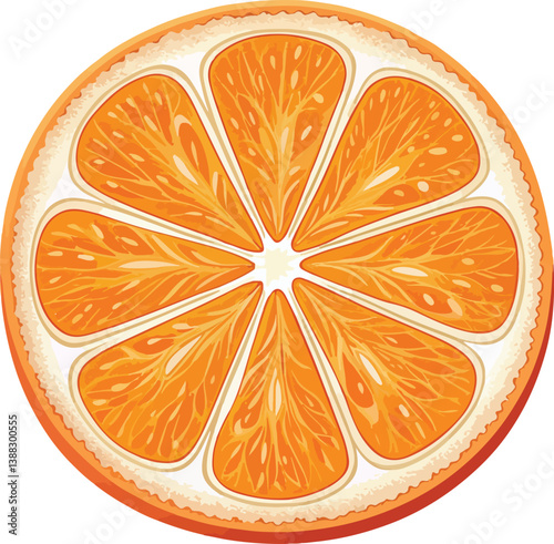 Detailed Illustration of a juicy orange slice, orange slice, slice of orange, orange slice vector.