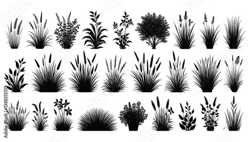 Transparent PNG of botanical silhouettes -  Herb and shrub foliage outlines Transparent PNG