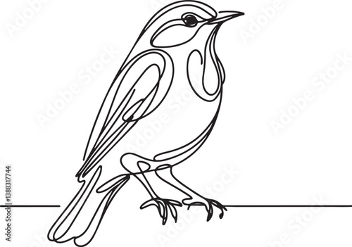 Thrush Bird Vector Illustration