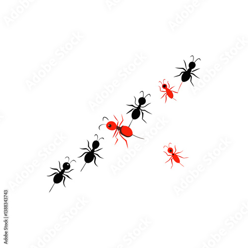 black ants on white background