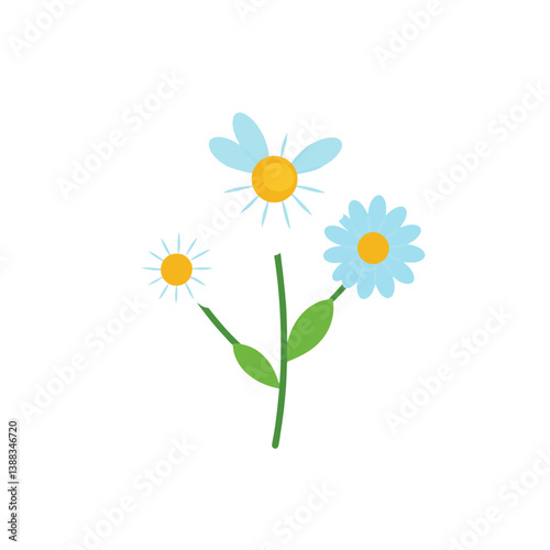 camomile on white background