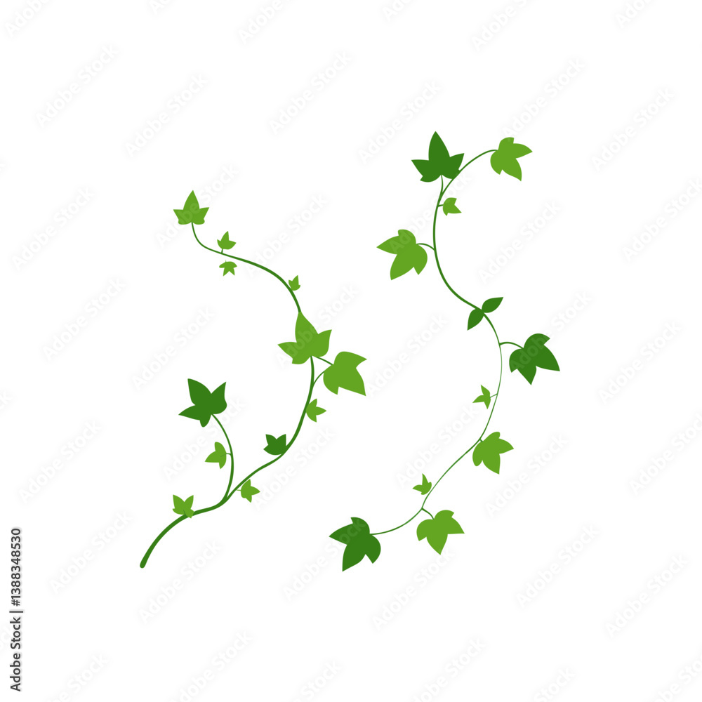 green leaves on white background green leaves on white background