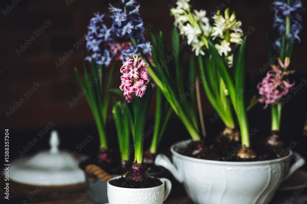Beautiful elegant table setting for Easter celebration with fresh spring hyacinth flowers, burning candles. Romantic wedding dinner table decoration. Springtime, home gardening. Dark background Beautiful elegant table setting for Easter celebration with fresh spring hyacinth flowers, burning candles. Romantic wedding dinner table decoration. Springtime, home gardening. Dark background
