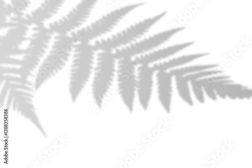 Fern branch shadow. Leaf shadow overlay. Sunlight trough the leaf. Nature organic shadow. Blurred Leaf shadow and light on wall background. 3d rendering