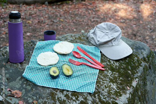 Forest picnic scene with vegan sandwiches, sustainable utensils, and insulated container resting on rocky surface, highlighting eco-friendly outdoor meal preparation