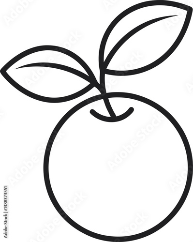 cranberry fruit outline vector on transparent background