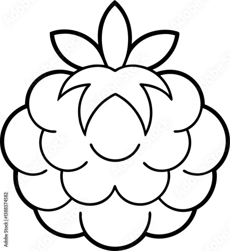 cloudberry fruit line vector on transparent background