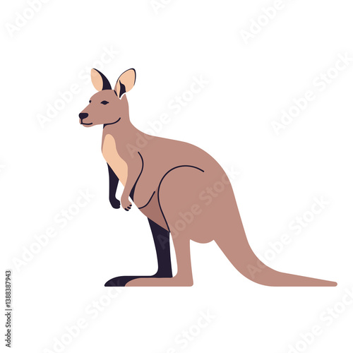 Kangaroo standing in a playful pose against a white background  