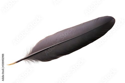 A single black feather with smooth texture and delicate barbs, isolated on transparency background, evokes sense of elegance and simplicity
