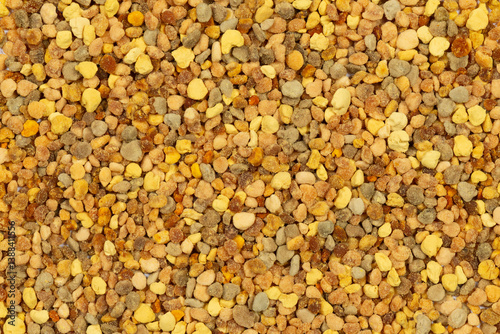 Close up of colorful yellow orange and red bee pollen