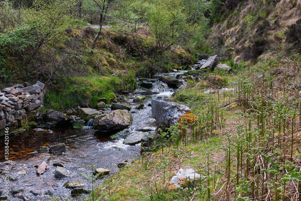 A stream of water flows through a rocky area A stream of water flows through a rocky area