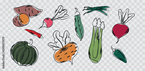 Set collection of different vegetables wit grunge sketched outline. Eco healthy food vegan concept.