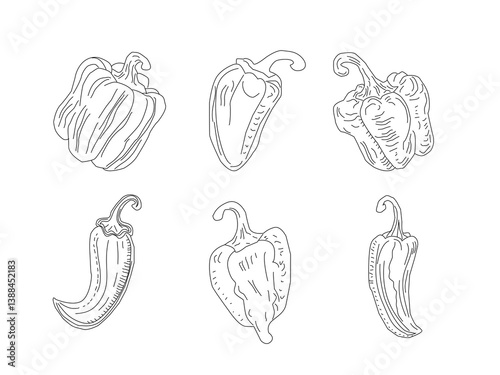 Set of paprika. paprika pattern background. seamless pattern bell pepper. paprika flat illustration background. bell pepper pattern Background.
