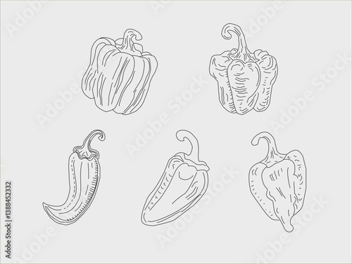 Set of paprika. paprika pattern background. seamless pattern bell pepper. paprika flat illustration background. bell pepper pattern Background.