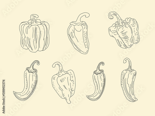 Set of paprika. paprika pattern background. seamless pattern bell pepper. paprika flat illustration background. bell pepper pattern Background.