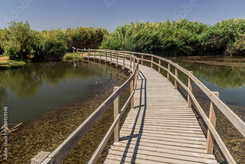 Wallpaper Mural Boardwalk in Azraq Wetlands Reserve, Jordans Torontodigital.ca