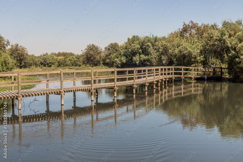 Boardwalk in Azraq Wetlands Reserve, Jordans