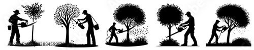 vector set of silhouettes of gardeners pruning trees