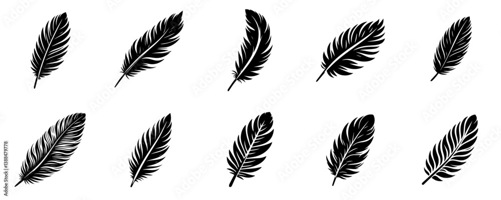 set of vector feathers set of vector feathers