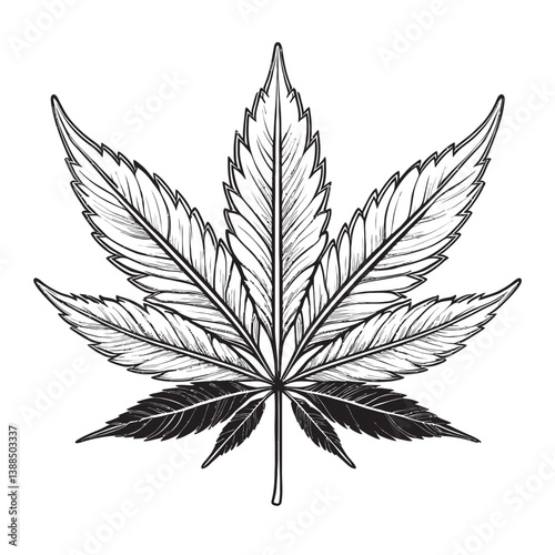 Detailed Illustration of a Maple Leaf in Black and White Style