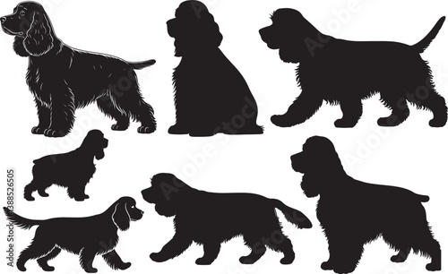фотографія American Cocker Spaniel Silhouette – Minimal Vector Illustration on White Backgr