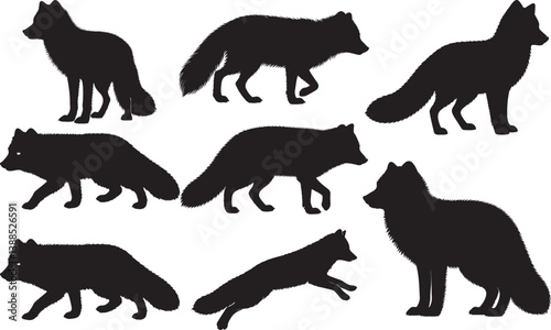 Arctic Fox Silhouettes