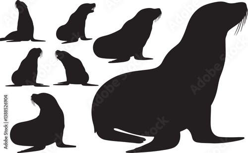 California Sea Lion Silhouettes