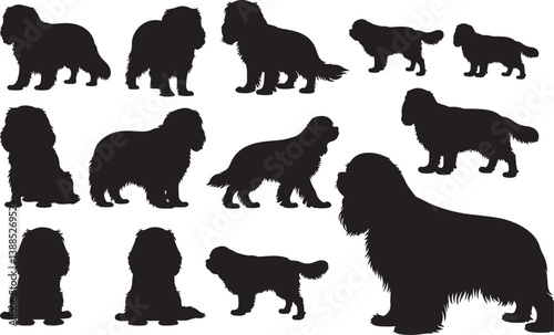 Cavalier King Charles Spaniel Silhouettes