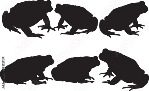 Common Toad Silhouettes