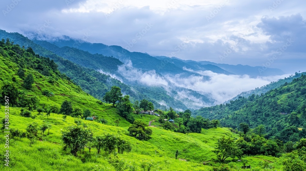 Obraz premium Lush Green Mountain Landscape