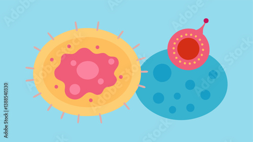 Microscopic View A magnified look at skin cells with rough jagged edges on the left and smooth rounded cells on the right visually demonstrating cellular transformation.