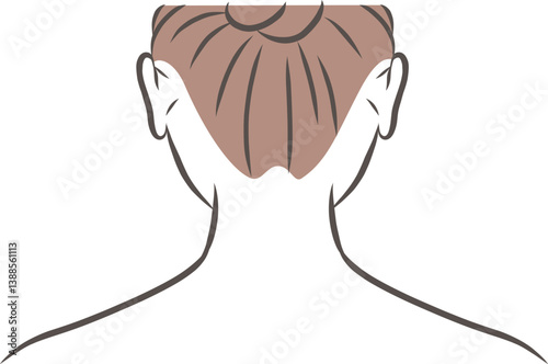 後ろを向いた女性のうなじのイラスト素材
