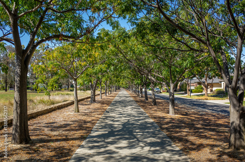Tableau sur toile A tree-lined pedestrian pathway forms a natural green tunnel under dappled sunlight, alongside a quiet suburban street with houses in a peaceful Australian neighborhood