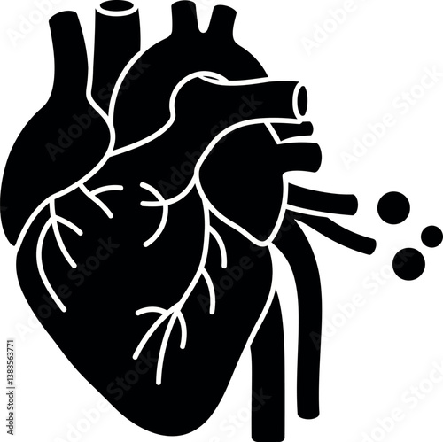 Anatomically accurate human heart design in minimal style showcasing circulatory system elements vector art