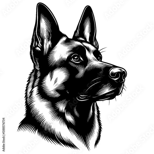 Hand drawn Malinois portrait, vector sketch isolated on white background, SVG vector